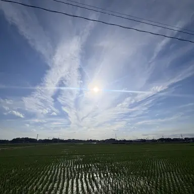 Profile image of ジップ