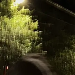 Profile image of 양정워