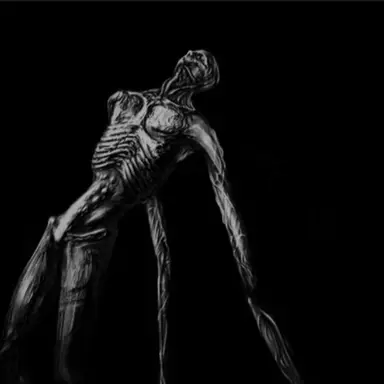 Profile image of 덜러