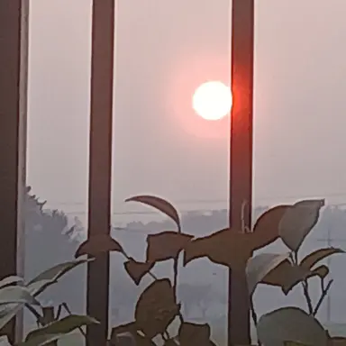 Profile image of 원숭이