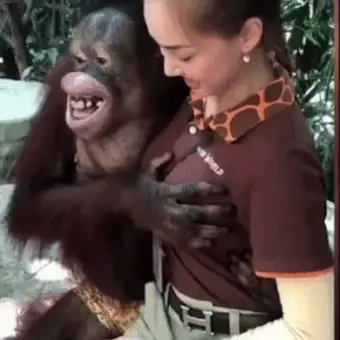 Profile image of 우랑우탄