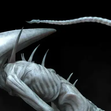 Profile image of 네오모프