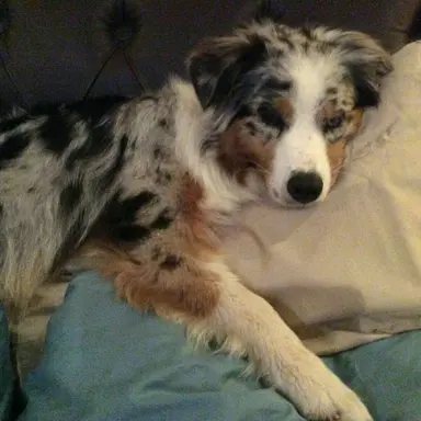 Profile image of Remi
