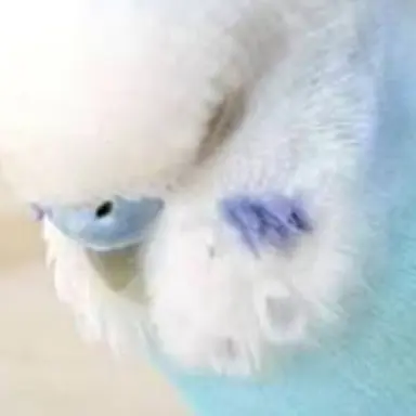 Profile image of 똥꾸빵꾸 문구점사장
