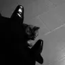 Profile image of 주성철