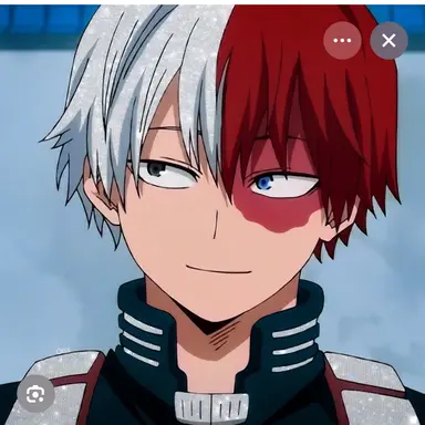 Profile image of Shoto Todoroki