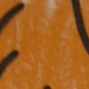Profile image of 덕개
