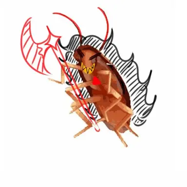 Profile image of 버닝스파이스 쿠키