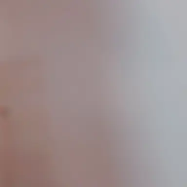 Profile image of 제작진