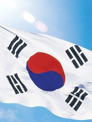 일제강점기 × 뜰팁 대표 이미지