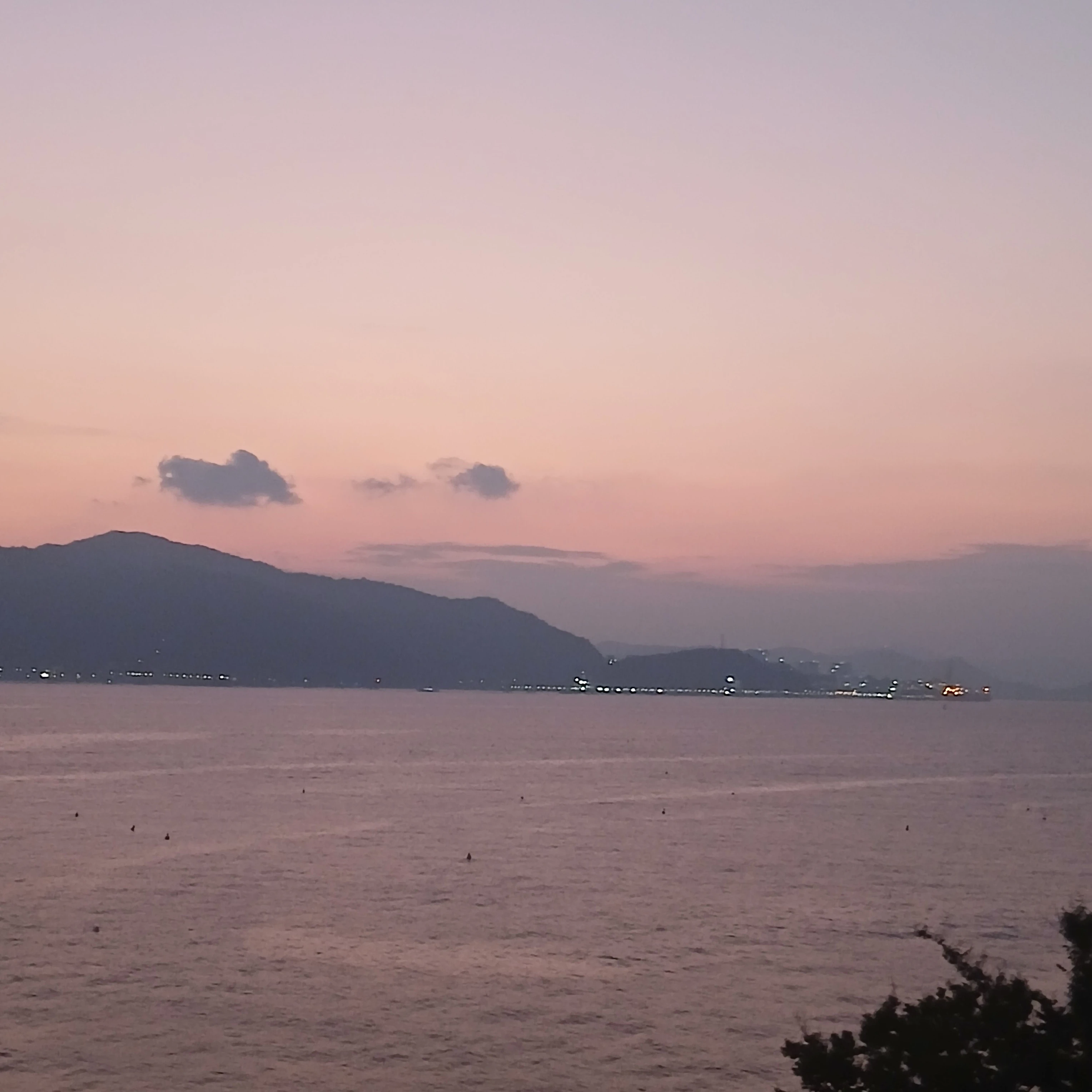 잭