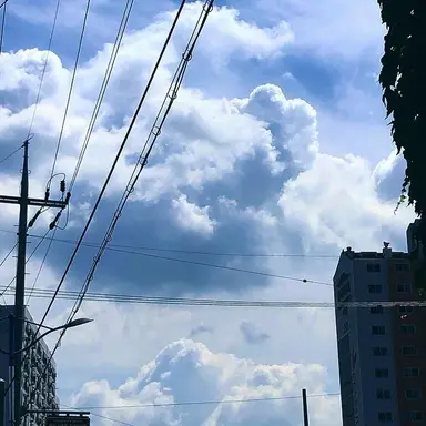 Profile image of Iro Cloud