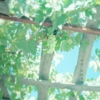 Profile image of 토키토 무이치로