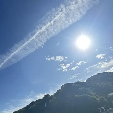 Profile image of 目黒蓮