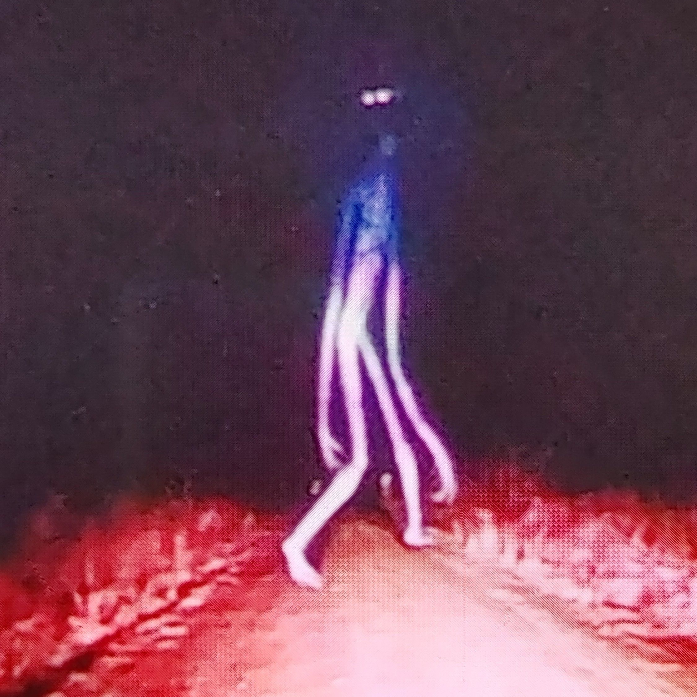 닥터 노웨어(병맛) 대표 이미지