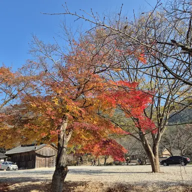 Profile image of 싸이코드