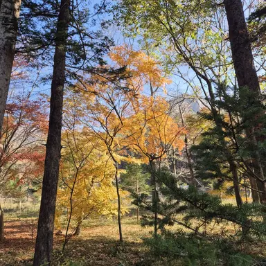 Profile image of 리레볼루션