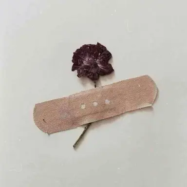 Profile image of 한유연