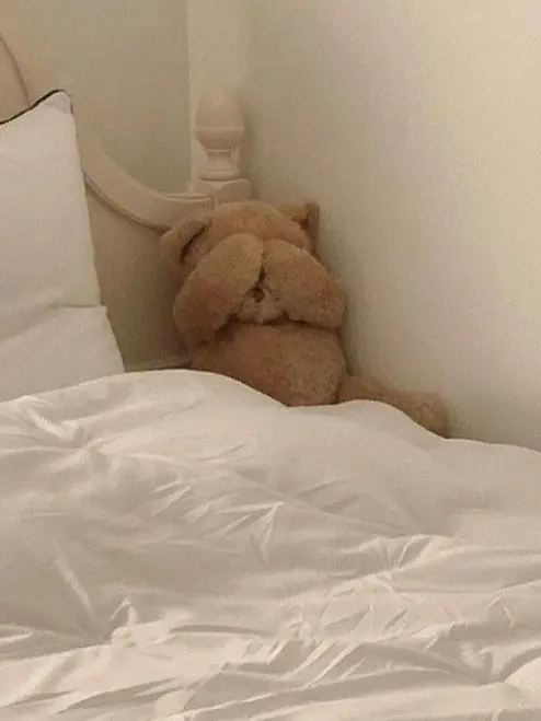 BlandTetra8819의 友達なはず...？