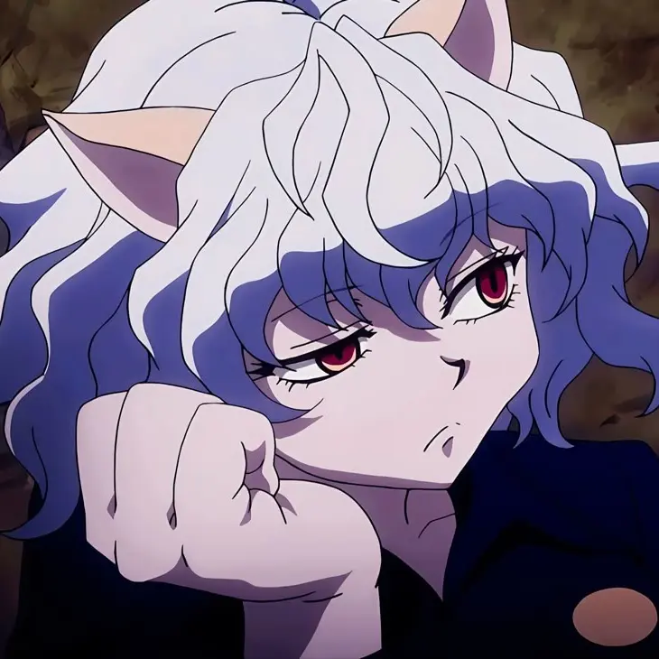 StumpyRake7799의 HUNTER×HUNTERの世界