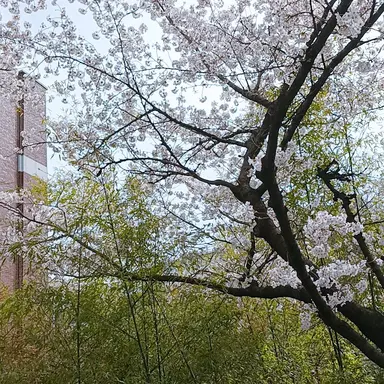 Profile image of 덕개