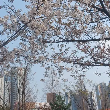 Profile image of 라더