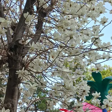 Profile image of 잠뜰