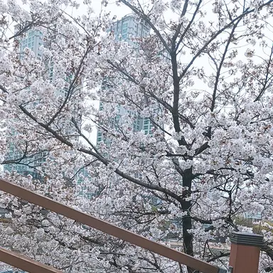 Profile image of 각별