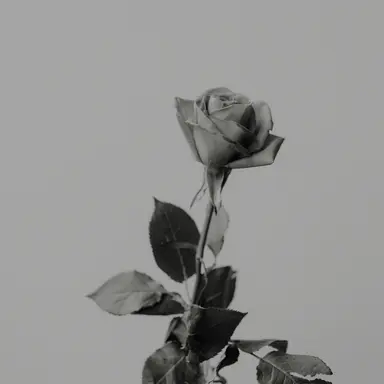 Profile image of 시미베