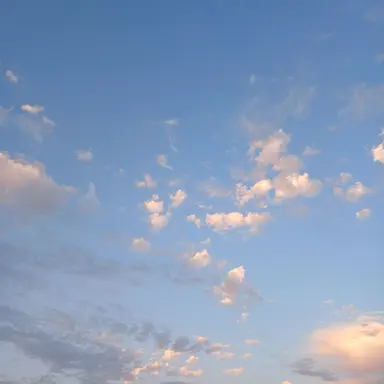 Profile image of 라더