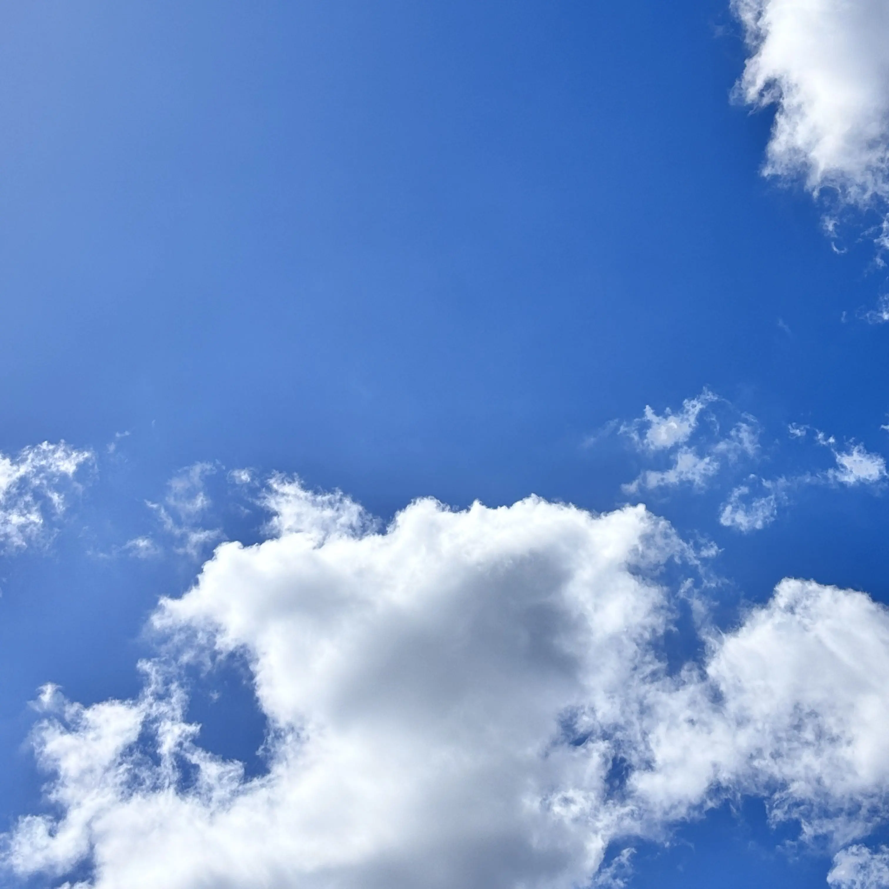 1916HEHO의 혈육 템페스트