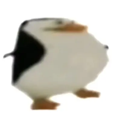 Profile image of 여우
