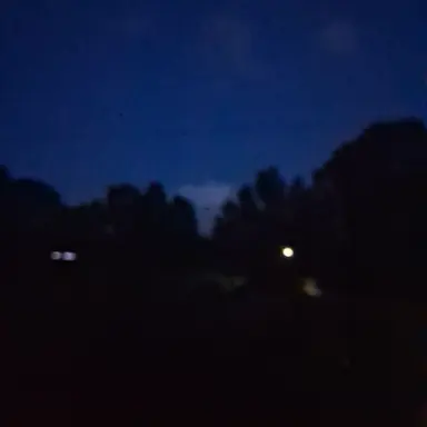 Profile image of 구도원