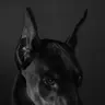 Profile image of 천광필