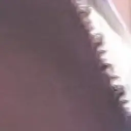 Profile image of 藤澤 涼架