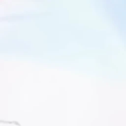 お母さん