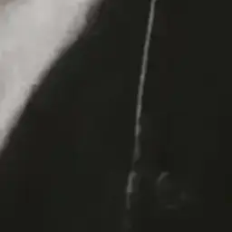 Profile image of 若井 滉斗