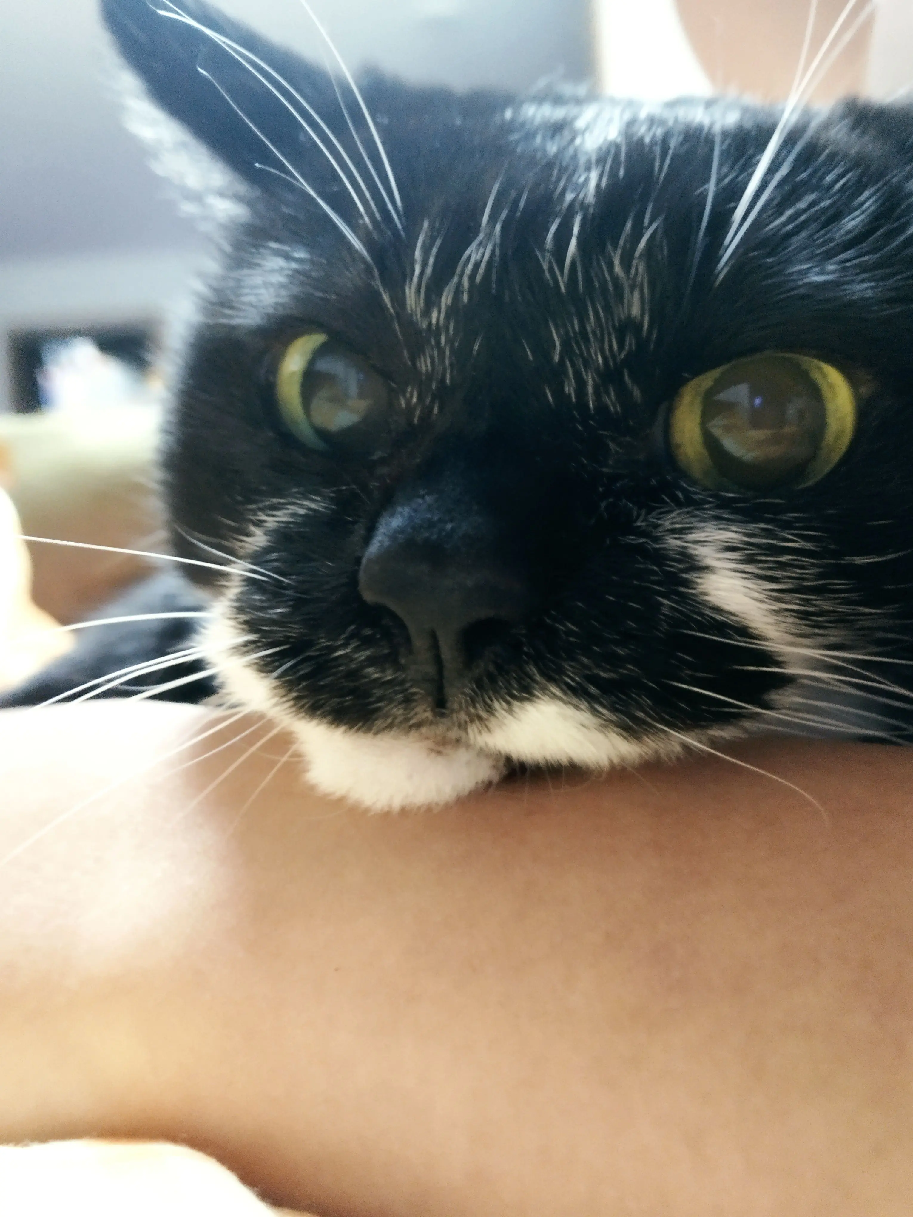 SubtlePark3569의 あーあ