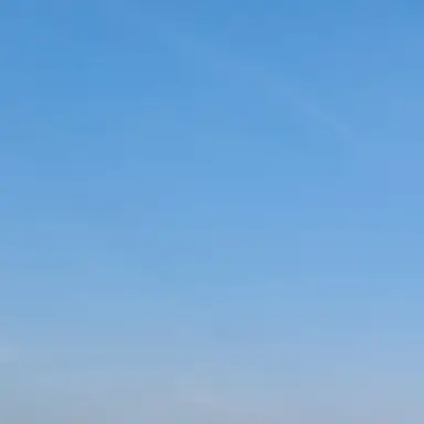 Profile image of 주안