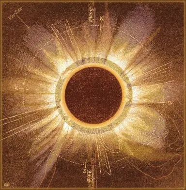 Profile image of Apollo