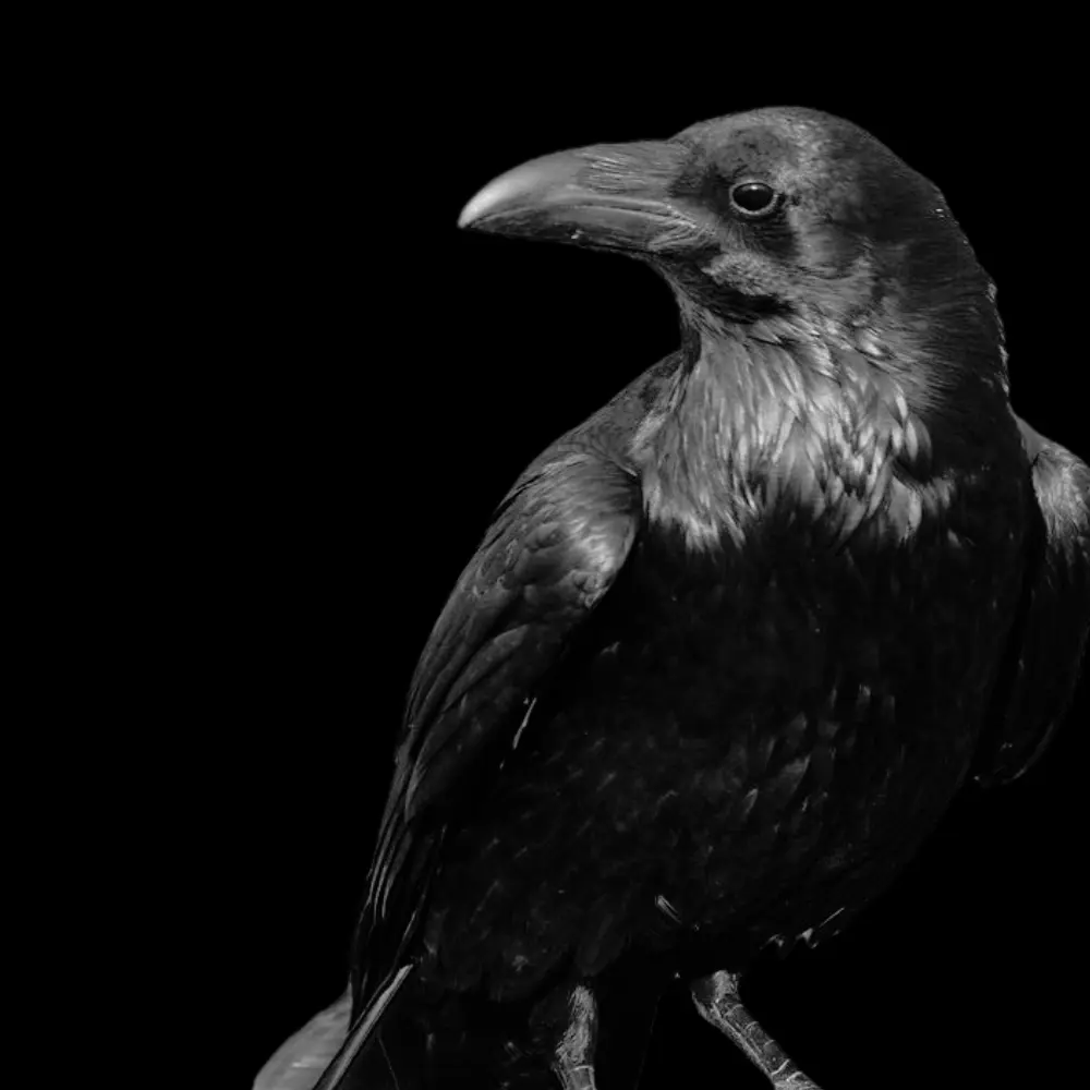 Mr_Potatosama의 --• • •••- • -•-···♡