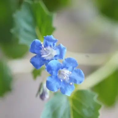 Profile image of 잠뜰