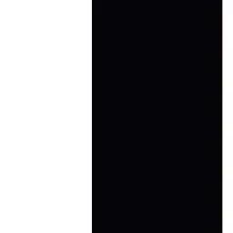 Profile image of 右手