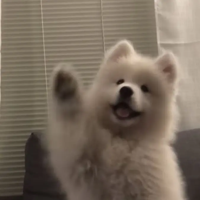 shu.bin의 허성범