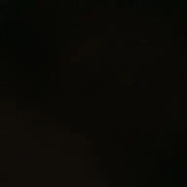 Profile image of 자유