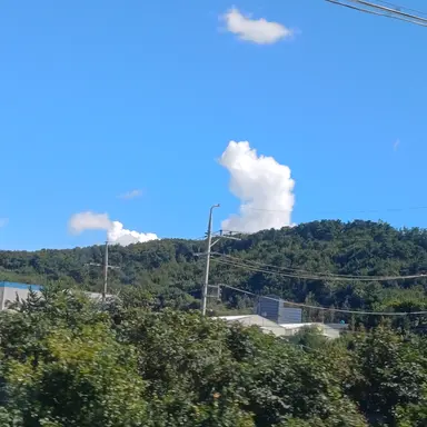 Profile image of 고고프렌즈