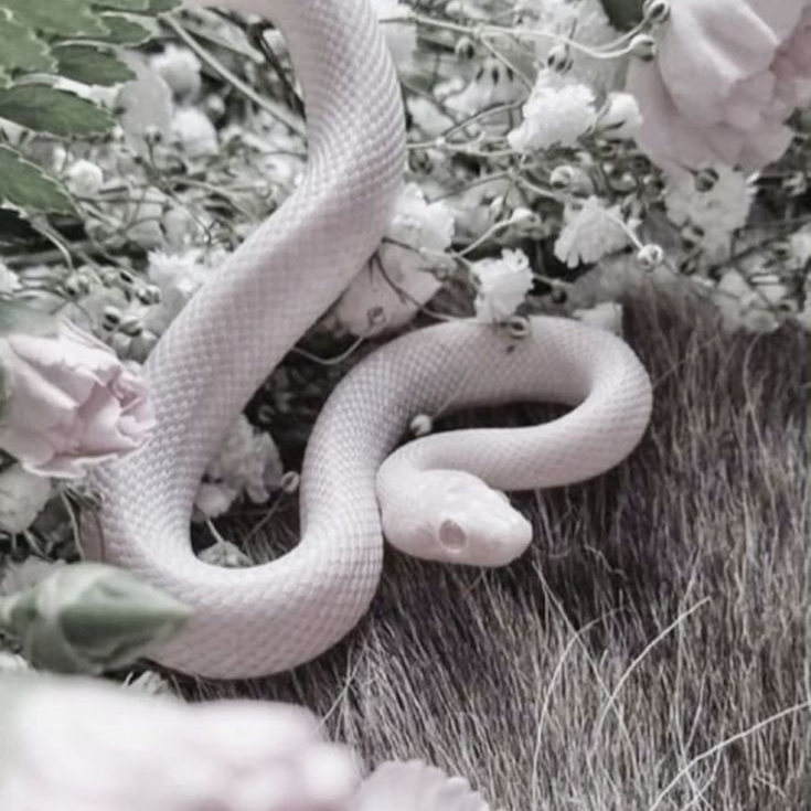 황수현 대표 이미지