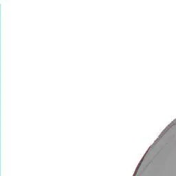 Profile image of 蓮