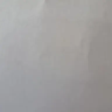 Profile image of 사장님