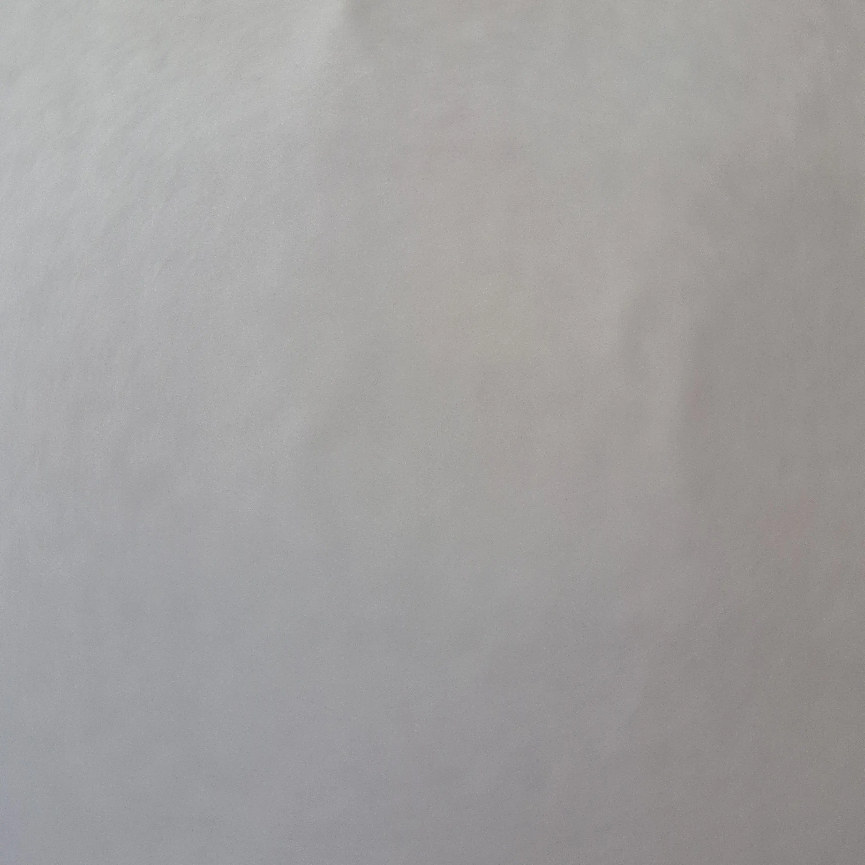 SoggyPeak3591의 변태사장